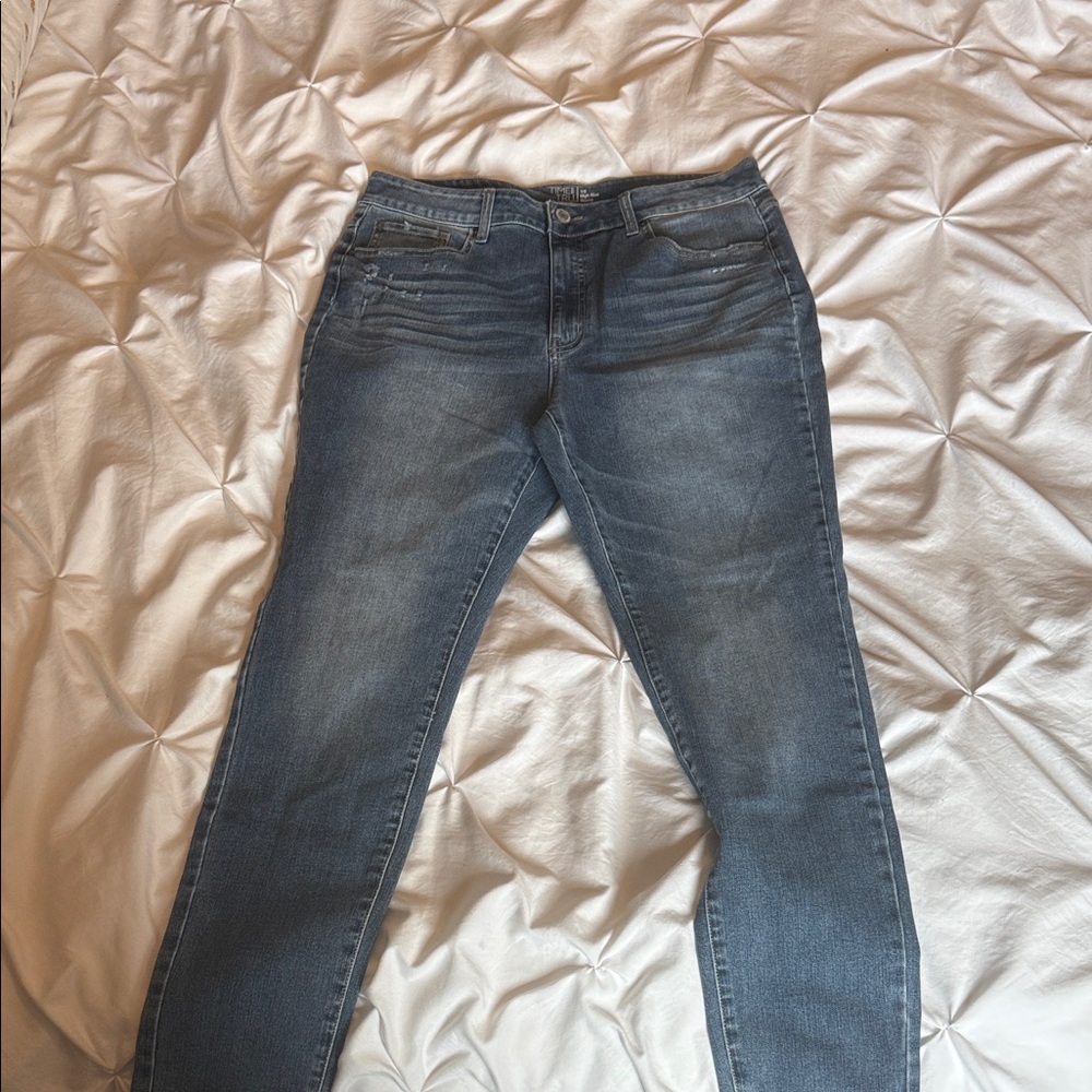 Time and Tru Women's Skinny Jeans in Blue